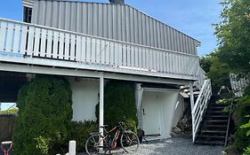 Nesøya family house